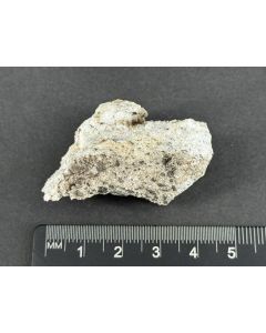 Cervandonit-(Ce) xx; Wanni Gletscher, Binntal, Schweiz; KS; Einzelstück