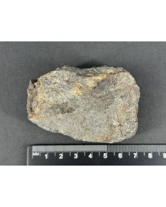 Wismut, ged.; Niederschlema, Erzgebirge, Deutschland; NS; Einzelstück