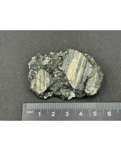 Pyrit auf Harnischfl&auml;chen; Stbr. Oberscheld, Lahn-Dill-Gebiet, Deutschland; KS; Einzelst&uuml;ck