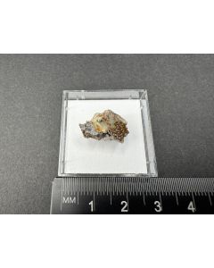 Pyromorphit xx; Longkamp, Hunsr&uuml;ck, Deutschland; MM; Einzelst&uuml;ck