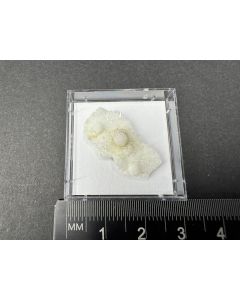 Gyrolith xx; Poona, Maharashtra, Indien; MM; Einzelst&uuml;ck 