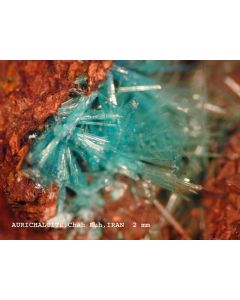 Aurichalcit xx; Chah Khuni Mine, Anarak, Ostana Yazd, Persien; MM