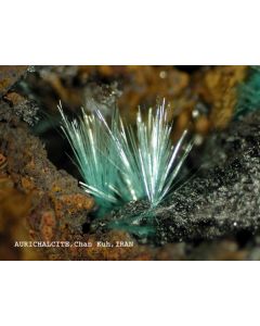 Aurichalcit xx; Chah Khuni Mine, Anarak, Ostana Yazd, Persien; NS