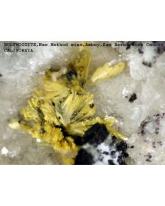 Boltwoodite (xx); New Method Mine, Brystol Mts, Amboy, CA, USA; KS