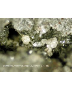 Sodalite xx; San Vito Quarry, Monte Somma, Vesuv, Neapel, Italy; NS