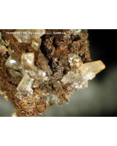 Tarbuttite xx; Broken Hill Mine, Kabwe, Zambia; MM