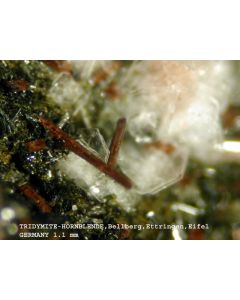 Tridymite xx; Bellerberg, Ettringen, Eifel, Germany; KS
