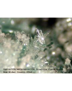 Variscite xx; Utah Lite Claim, Lucin, UT, USA; MM