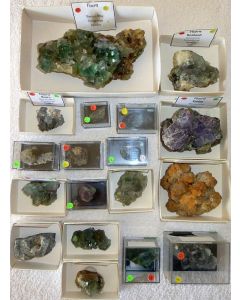 Fluorite xx, Namibia, 1 lot of 18 high end specimen