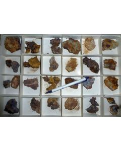 Silver, nat. xls + Anglesite xls, Lavaderos Mine, Mexico. 1 flat, 54 specimens.
