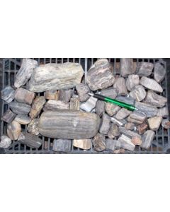 Fossiles (versteinertes) Holz, Ottendorf-Okrilla, Sachsen, D. 1 kg