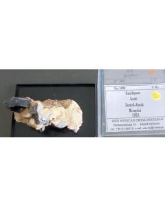 Quartz (smoky quartz) xx; Gorki, Zentral Aimak, Mongolia; NS
