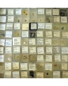 MM - Mikromount - Sammlung, 1 Partie von 100 Verschiedenen besonders guten und seltenen MM