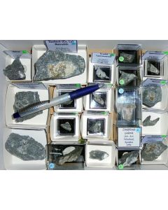 Aris, Windhoek, Namibia; small collection of well identified specimen; 1 lot of 32 specimen