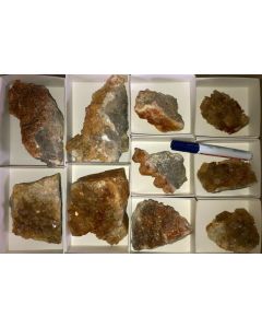 Calcite crystals on matrix, orange, La Sambre, Landelies, Charleroi, Belgium, 1 flat (larger specimen)