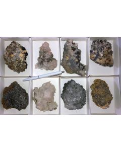 Galena, Pyrite, Arsenopyrite, Calcite, Rhodochrosite etc. sulphide crystals on matrix, Trepca, Kosovo, 10 flats with 4-12 specimen