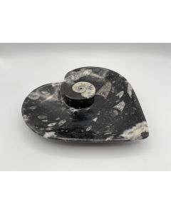 Orthoceras Teller, in Herzform, mit aufgesetztem Ammoniten, schwarz, 20 cm x 17 cm, 1 Stück