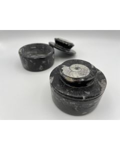 Ammoniten-Dosen, schwarz, 9 cm, mit Deckel, 1 Stück