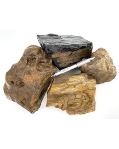 Fossiles versteinertes Holz; Sumatra, Indonesien; 10 kg