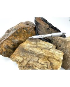 Fossiles versteinertes Holz; Sumatra, Indonesien; 100 kg