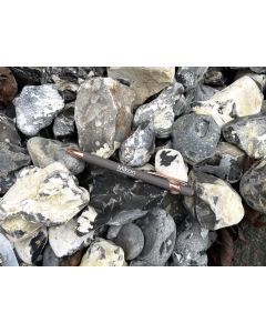 Flintstone; Firestone, black, Heiligendamm, Bad Doberan, Baltic Sea, Germany; 100 kg