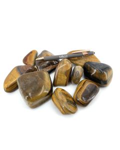 Tiger eye tumbled stones; large, South Africa; 1 kg