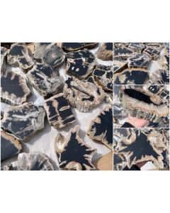 Fossiles, versteinertes Holz; Baumscheibe, poliert, schwarz/weiß, Sumatra, Indonesien; 1 zufälliges Stück