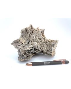 Calcit; UV-aktiv!, Trepca, Kosovo; HS, Einzelstück