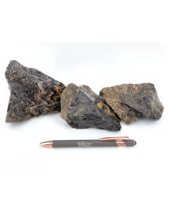 Stromatolite; Bolivia; 1 kg