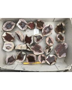 Agate Thundereggs, Hohenstein-Ernstthal, Saxony, Germany, cut and polished, 1 flat