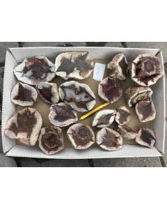 Agate Thundereggs, Hohenstein-Ernstthal, Saxony, Germany, cut and polished, 1 flat