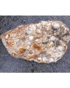 Jasper, coral jasper; (fossil coral), India, ca. 37 x 22 cm; 19,3 kg, single piece