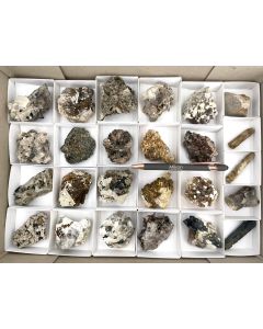 Aegirin, Elpidit, Siderit, Zirkon xx; auf Matrix; Mt. Malosa, Zomba, Malawi; 1 Steige; Unikat 