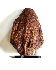 Amber; with wood texture; Sumatra, Indonesia (UV/FL); single piece 1.2 kg