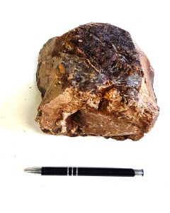 Amber; with wood texture; Sumatra, Indonesia (UV/FL); single piece 1.08 kg