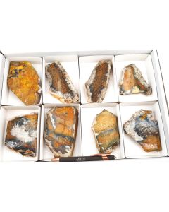 Bumble Bee Jasper, 1 lot with 8 pieces; freeform, polished on both sides; Indonesia