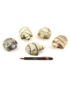 Turtle, large, made of polished chrysoprase; Indonesia, 1 lot with 5 pieces
