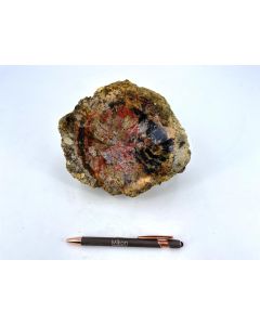 Fossil (petrified) wood black and red, rough; Java, Indonesia; Single piece, 3.66 kg