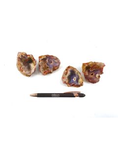 Fossil, petrified wood, clear agate and landscape jasper, 1 lot consisting of 4 pieces, cut; Indonesia