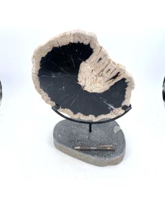 Wooden disc, fossil/petrified wood, large, polished on both sides with a metal stand; Indonesia