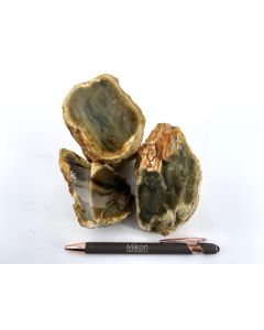 palm wood; petrified; with opal; rough; Garut, Indonesia; 1 kg