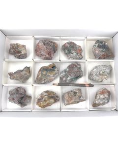 Libethenit xx; Mapimi, Mexiko; 1 Steige, Unikat (401)