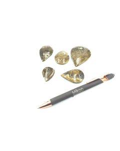 Fossil coral, teardrop shape, app. 3-5 cm, with hole for pendant, 1 piece
