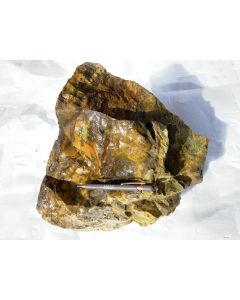 Fossil (petrified) wood with opal; Garut, Java, Indonesia; Single piece 26.5 kg