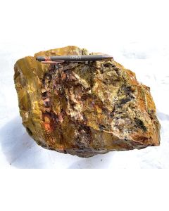 Fossil (petrified) wood colorful; Garut, Java, Indonesia; Single piece 23.6 kg