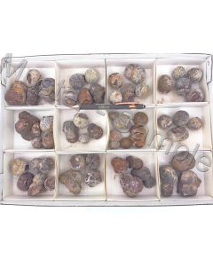 Cristobalite balls; Marble Tank; AZ, USA; 1 flat