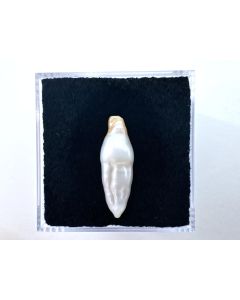 Biwa pearl single piece approx. 6x18 mm