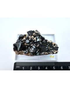 Magnetite xls; Cerro Huanaquino, Potosi, Bolivia; Min (456)