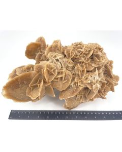 Desert rose; single piece; Tunesia; 4.8 kg