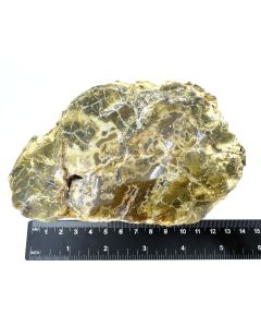 Fossil (petrified) wood with green opal; polished on one side; Garut, Java, Indonesia; Single piece 640 g
